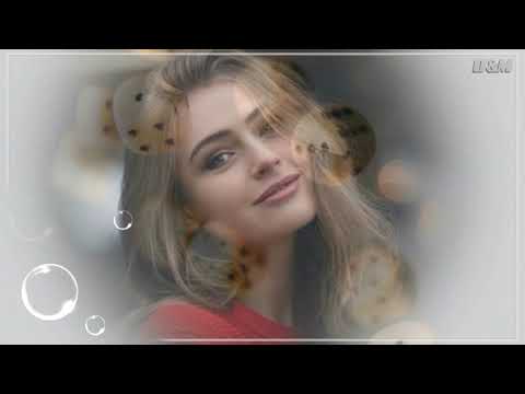 Toast and Marmalade For Tea