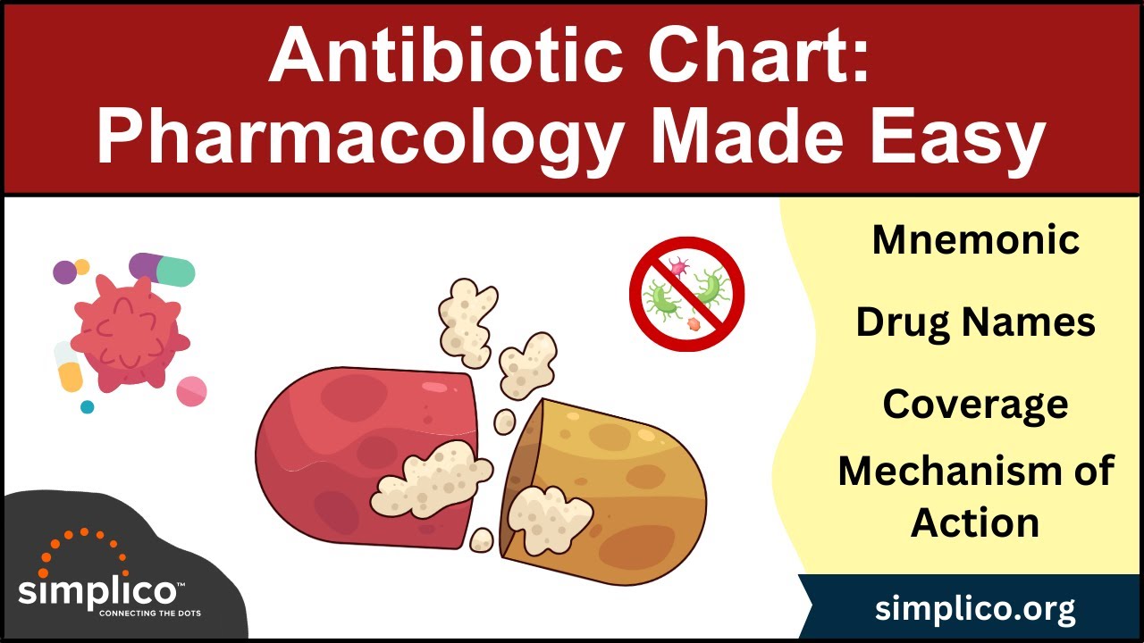 Antibiotic Classes: Mnemonic, Coverage, Mechanism of Action [Pharmacology Made Easy]