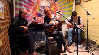 10 Sylvie Simmons Lonely Cowgirl