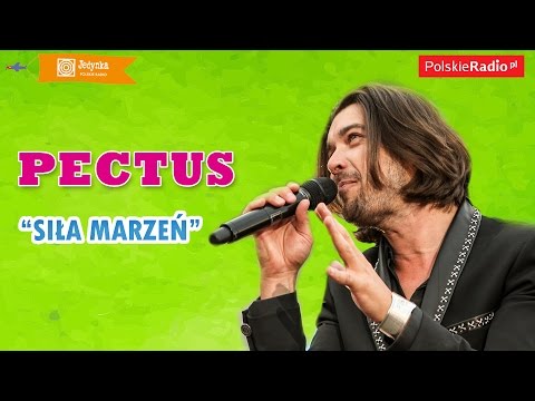 Pectus:  Siła marzeń LIVE (Czwórka)
