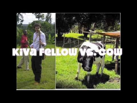 Kiva - When Cows Attack!
