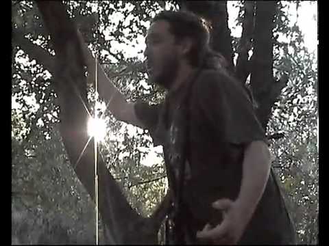 Roe Delgado-La flor no se marchito- Mundo plastificado 2008.