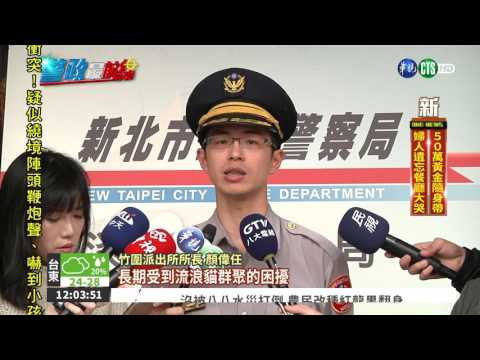 貓咪漫步鐵皮屋 遭BB彈射殺