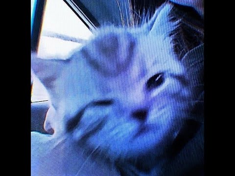 Jefferson Airplane - Somebody to Love (#Icauralen edit)