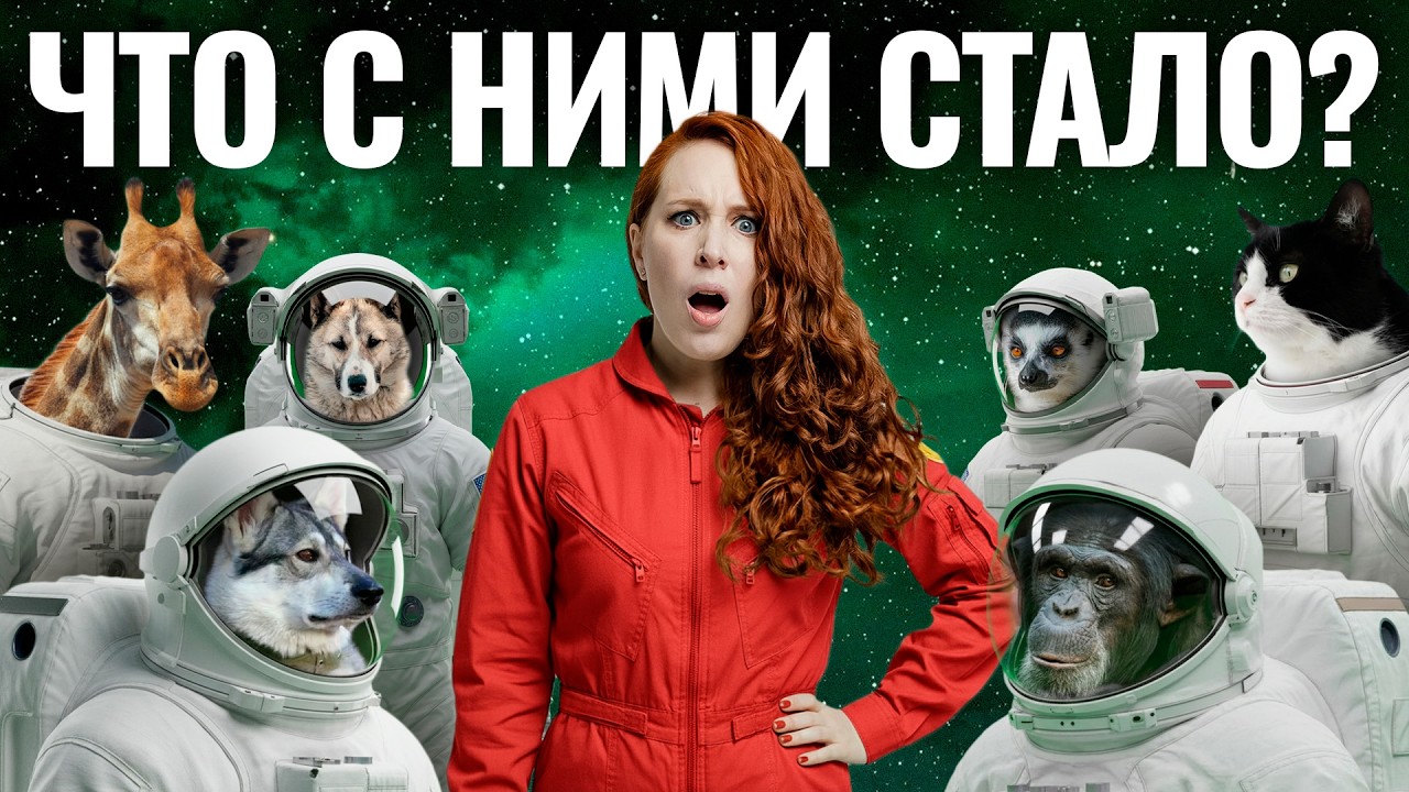 Раньше Гагарина. Истории животных в космосе