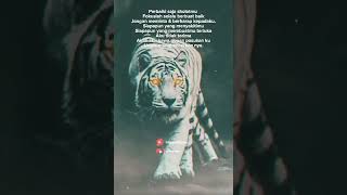 Download lagu Kata macan putih. aku memang pentramen tapi penyayang & setia #shorts #500subs #khodampendamping mp3 Download lagu Kata macan putih. aku memang pentramen tapi penyayang & setia #shorts #500subs #khodampendamping mp3