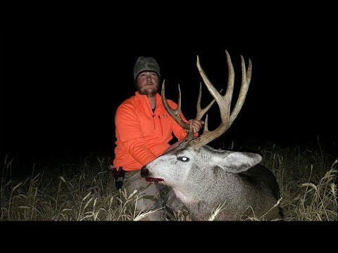 Big, Mature Mule Deer Hunting in Montana 2016  - VW Outdoors Video