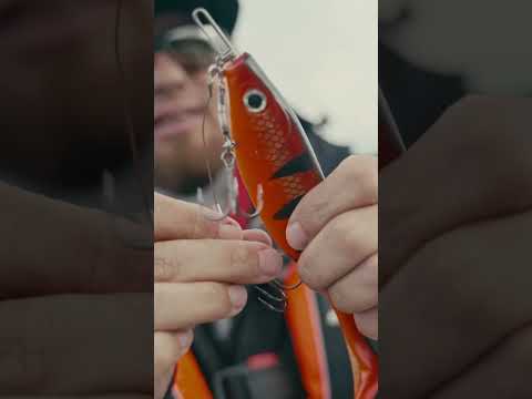 Nagy csukás csali összeállítása