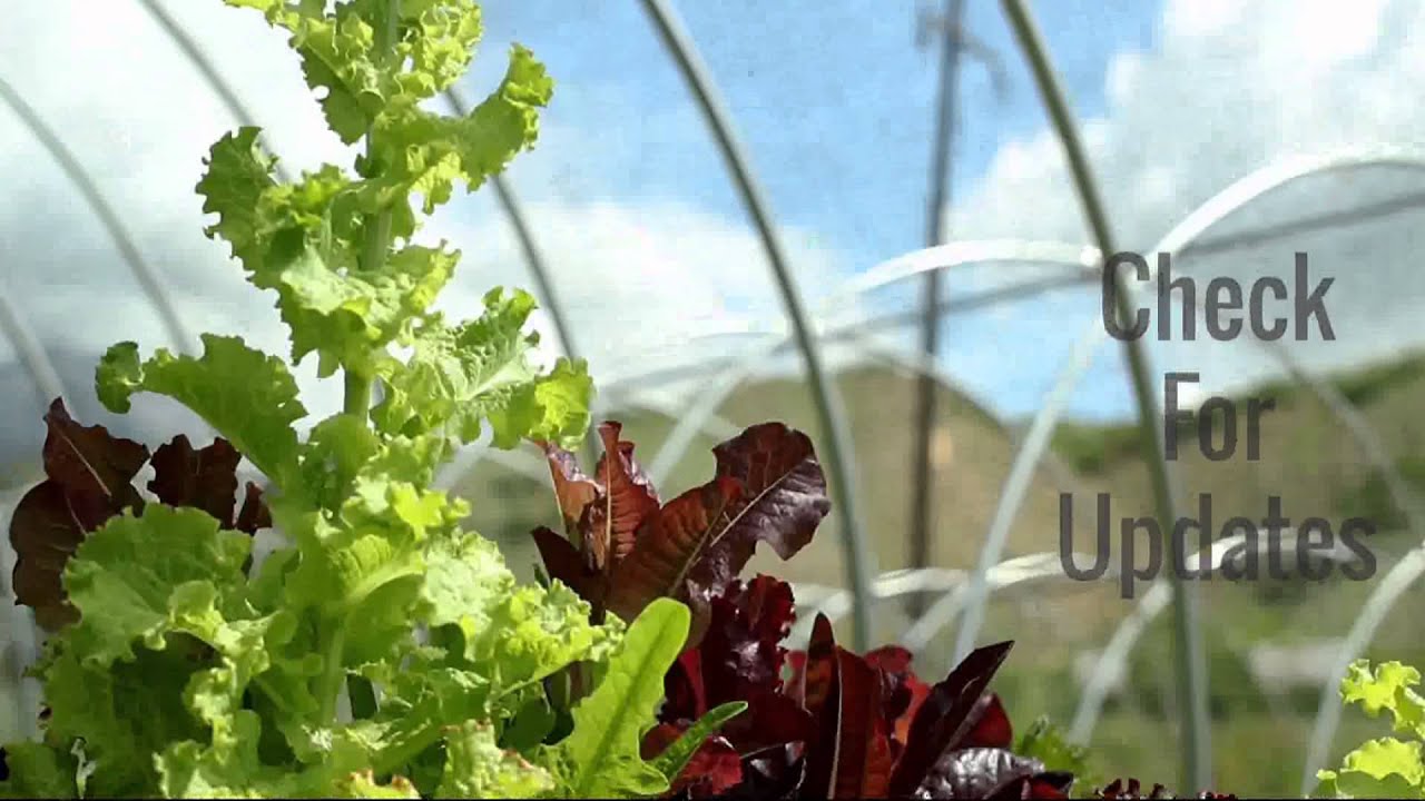 La Nay Ferme - CSA Share Options