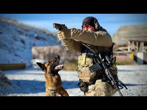 Hunting the Special Forces | PAWS OF DUTY – The Danish dog trainer behind American K-9 heroes