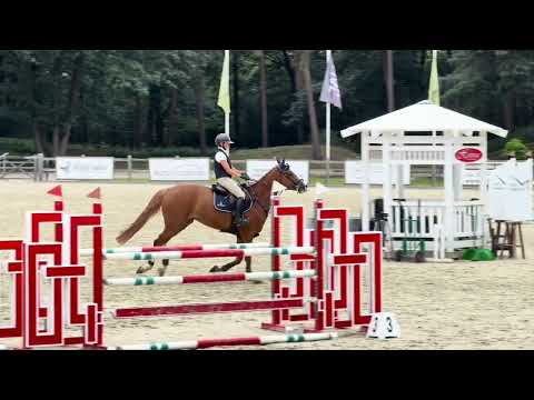 Showvideo 1