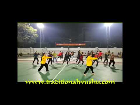 Yang Style 13 Movement Beginner Form 1