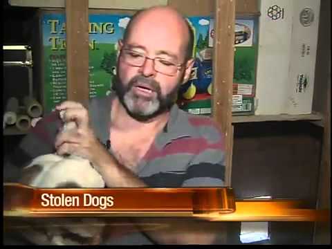 Craigslist Slo Pets