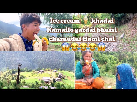 Ice cream 🍦 khadai ramailo 😂😱gardai maiju sanga bhaisi 🐃charaudai ramailo gardai  hami chai😂😂