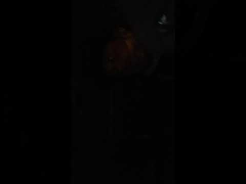 Freestyle in studio Q50 by prez Coop  #TenToezDowN  Movement