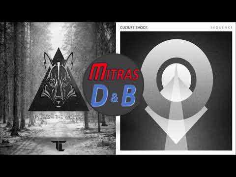 TC & Metrik X Culture Shock - The Light X Neighbourhood (Mashup)