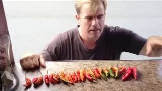 Screaming Eagles Challenge Ghost Pepper Edition