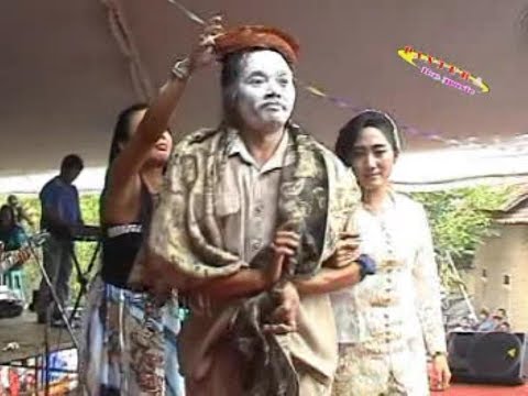 PANTURA 161114 - Delima