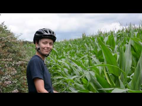 STAYER Brockley to Brighton