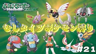 【ポケモン　エメラルド】　ポケモン最強の虫タイプで打倒ダイゴ！！　とらごろうの一人旅　part21
