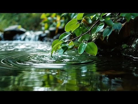 #21 Chapter 8 : Sutra 1, 2&3WATER#consciousliving #taoteching #taoteching #tao