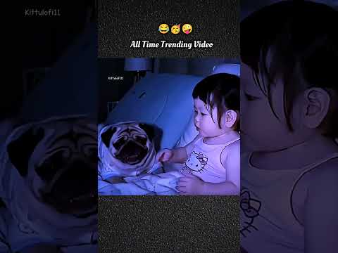 ai animal video 👻😂🤣||viralvideo ||ai video ||#trending #aivideo #babyshorts #lyricsvideo
