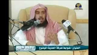 التعليق على المنار المنيف image