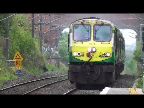 IE 201 Class Locomotive 231 + Enterprise 9001 - Portmarnock, Dublin