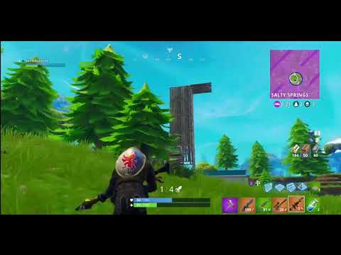 Robbed of victory by a pine tree branch! Fortnite Battle Royale