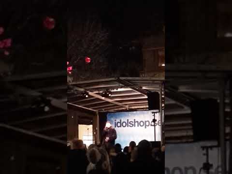 Sebastian Wallden idol vinnare 2018 I Kristianstad 2018