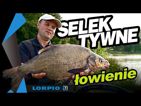 Selektywne Łowienie LESZCZY. Podstawy Feedera Klasycznego