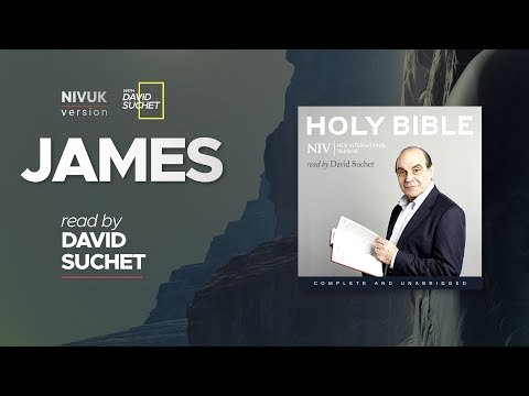Niv James