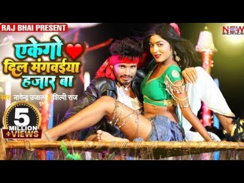 Eak go dil mangaiwa hajar ba | एकेगो दिल मंगवेया 1000 बा | Shilpi Raj | Raj Bhai video | bhojpuri
