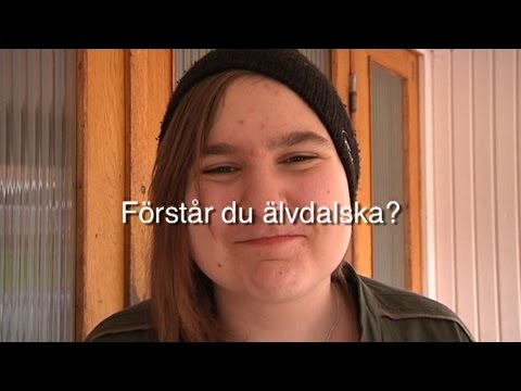 Fattar du Sofia Hellqvists hemdialekt? - Testa dig själv!