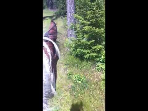 Min underbara förmiddag