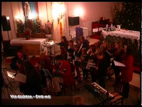 Vis Gloria - Evo me