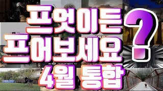 프엇이던 프어보세요 4월 통합 프리미어 프로 QnA모음