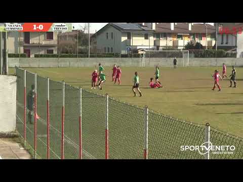 PARTITA VICENZA FEMMINILE VS CONDOR TREVISO 3-0