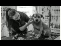 A day in the life of a dog groomer