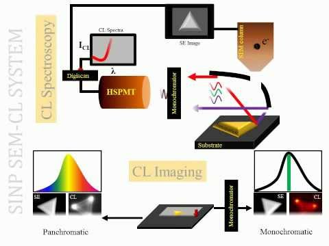 Cathodoluminescence in a Scanning Electron Microscope