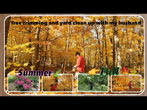 Tree trimming and yard clean up with my husband. Summer & Fall!🍃 🍁👏