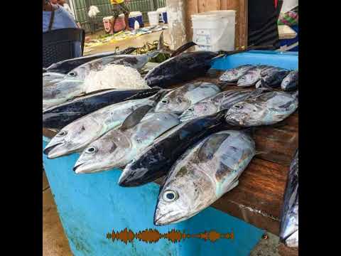 Te Makete (Remix) 2023