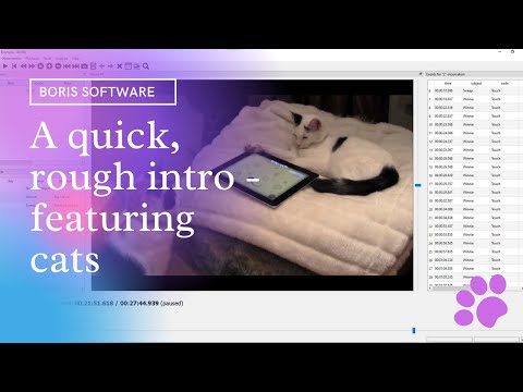 Rough and ready intro to BORIS software