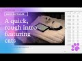 Rough and ready intro to BORIS software