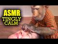 Monkey Grooming ASMR No Talking Soft Scratching Pure Tingles SOUNDLY SLEEP