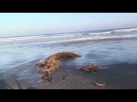 QUE SITUAÇÃO LAMENTÁVEL ESTÁ NOSSA ILHA COMPRIDA 😱😱