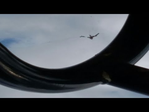 Video thumbnail for ​you are now listening to birds speaking in english