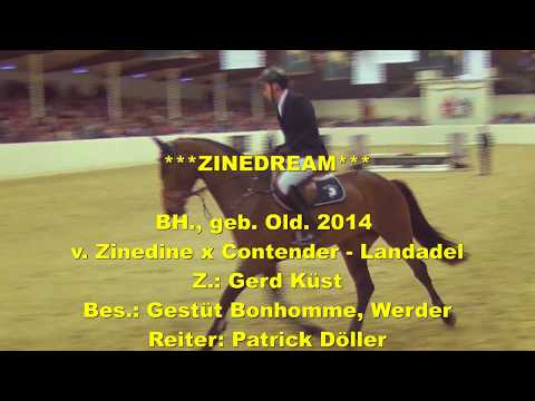 ZINEDREAM & Patrick Döller - Hengstschau Vechta 2018