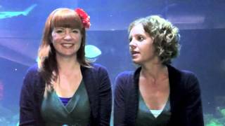 Bobs & LoLo - May 12, 2012