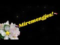 Pse Zhgënjehemi Thenia E Dites
